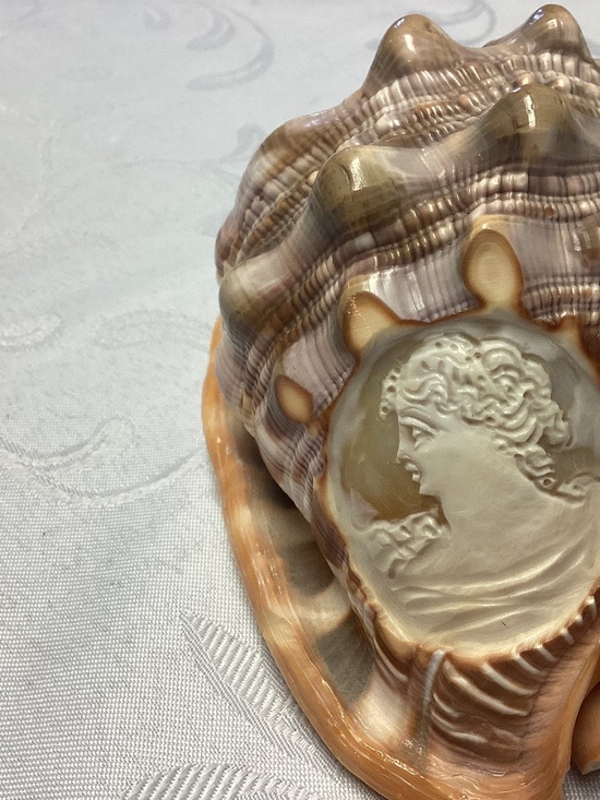 Hand carved  cameo conch shell Other - BEAUTIFUL Vintage Italian LARGE Hand Carved Cameo Conch Shell MINT CONDITION
